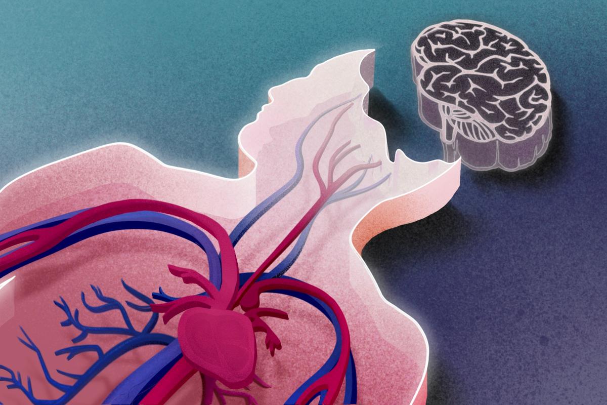 Brain-Dead People May Not Be Dead—Here’s Why thumbnail